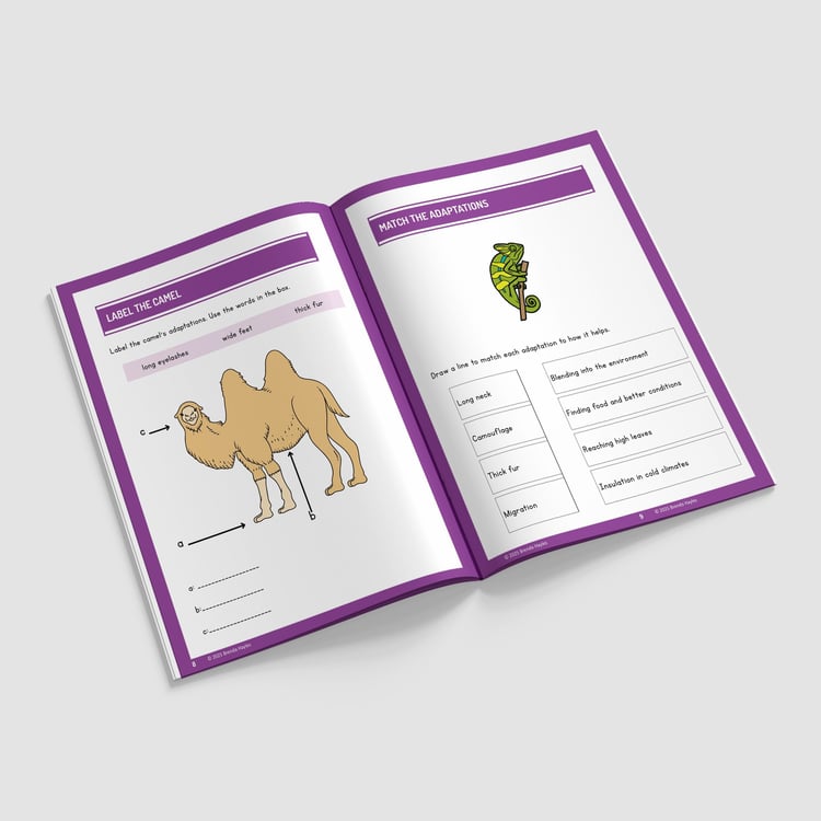 Evolution and Inheritance Worksheets and Workbook | Grades 3-5 | NGSS Aligned | Fossil Data: preview page 2 of 4