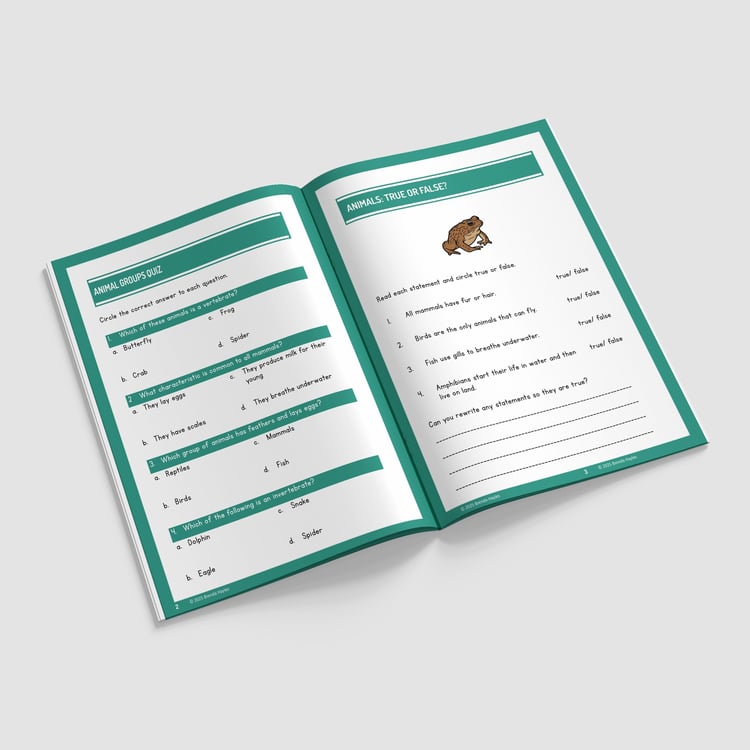 Living Things and Their Habitats Worksheets and Workbook | Grades 5-7 | Classification Keys: preview page 2 of 4