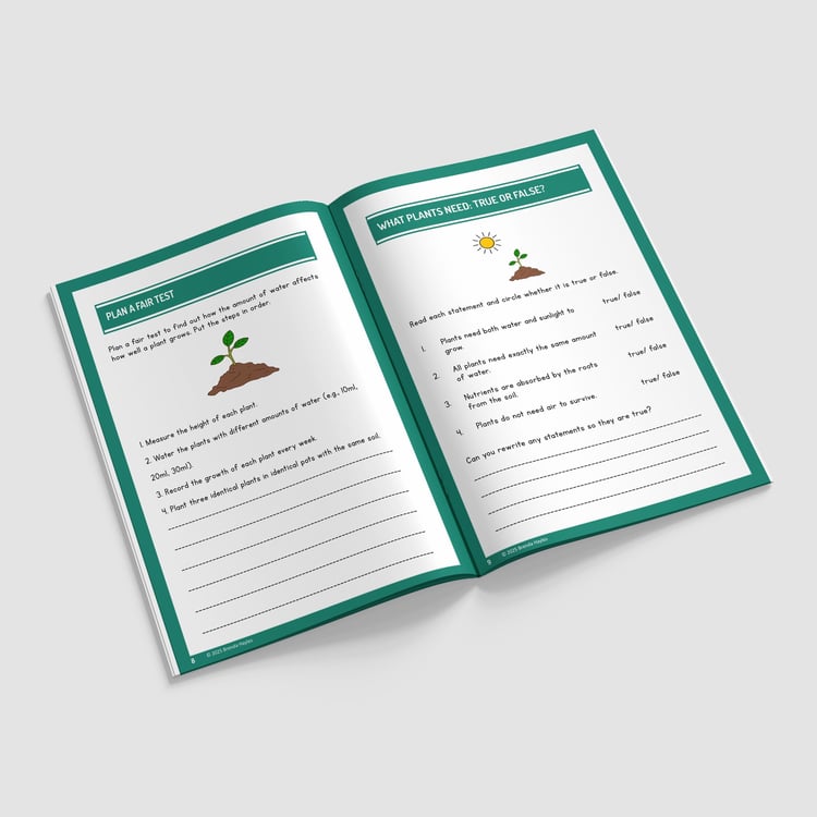 Plants Year 3 Worksheet with Answers | KS2 Plant Parts, Water Transport, Life Cycles Workbook: preview page 2 of 4