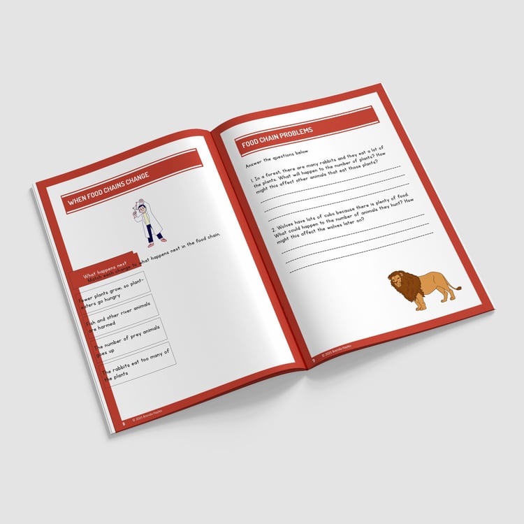 Animals Including Humans Year 4 Worksheet with Answers | KS2 Science Workbook: preview page 2 of 4