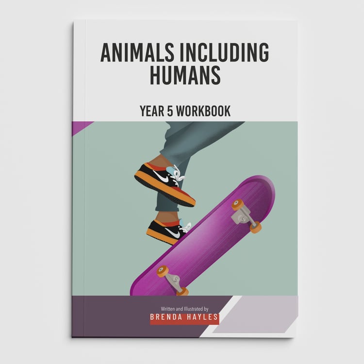 Animals Including Humans Year 5 Worksheet with Answers | KS2 Science Workbook: cover