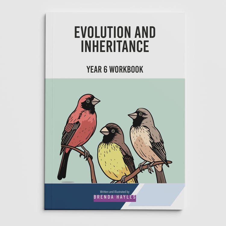 Evolution and Inheritance Year 6 Worksheet with Answers | KS2 Science Workbook: cover