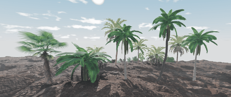 Tall palm trees across a dry desert landscape