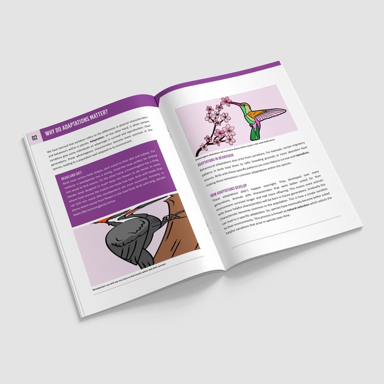 Evolution and Inheritance Year 6 Booklet | KS2 Science Knowledge Book: Adaptation, Darwin, Fossils, Variation: preview page 2 of 4