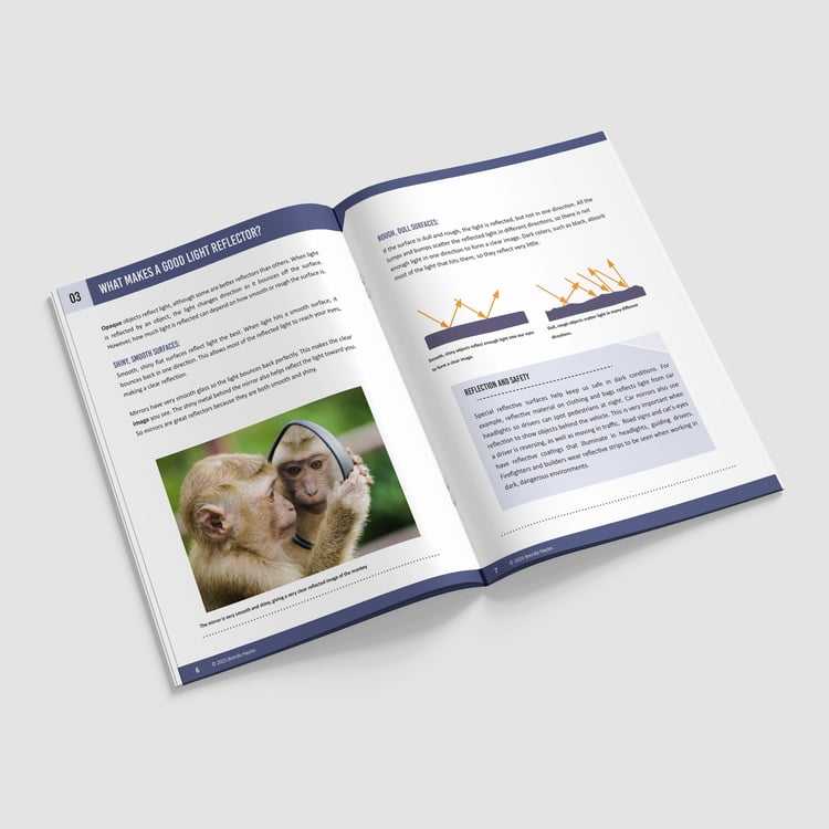 Light Science Booklet | Grades 2-4 | NGSS Aligned | Shadows, Sources and Reflectors: preview page 2 of 4