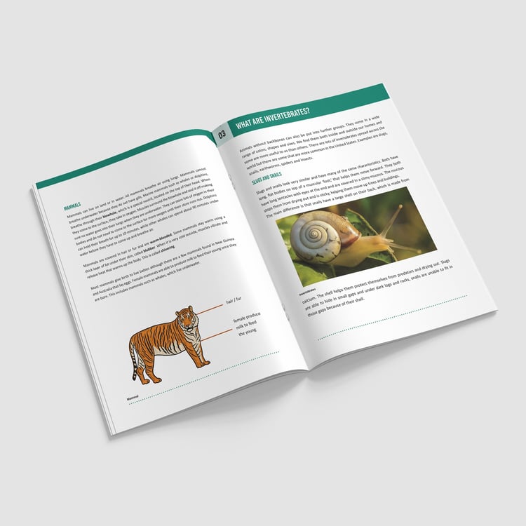 Living Things and Their Habitats Booklet | Grades 3-5 | NGSS Aligned | Classification Unit: preview page 2 of 4
