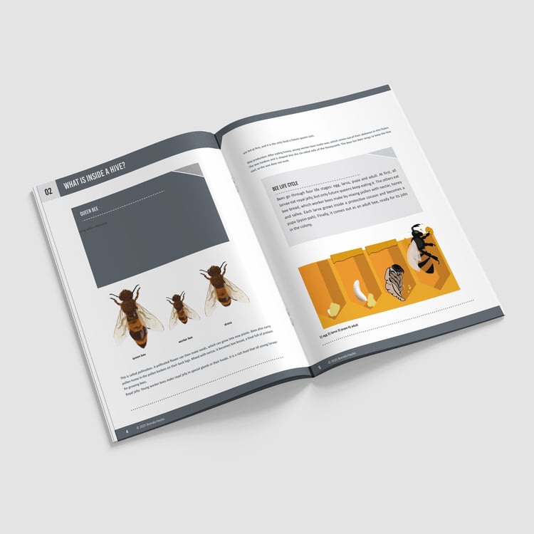 The Bee Project Science Booklet | Grades 2-4 | NGSS Aligned | Hives, Honey and Pollination: preview page 2 of 4