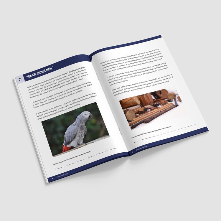 Sound Science Booklet | Grades 3-4 | NGSS Aligned | Vibration, Pitch and Volume: preview page 2 of 4