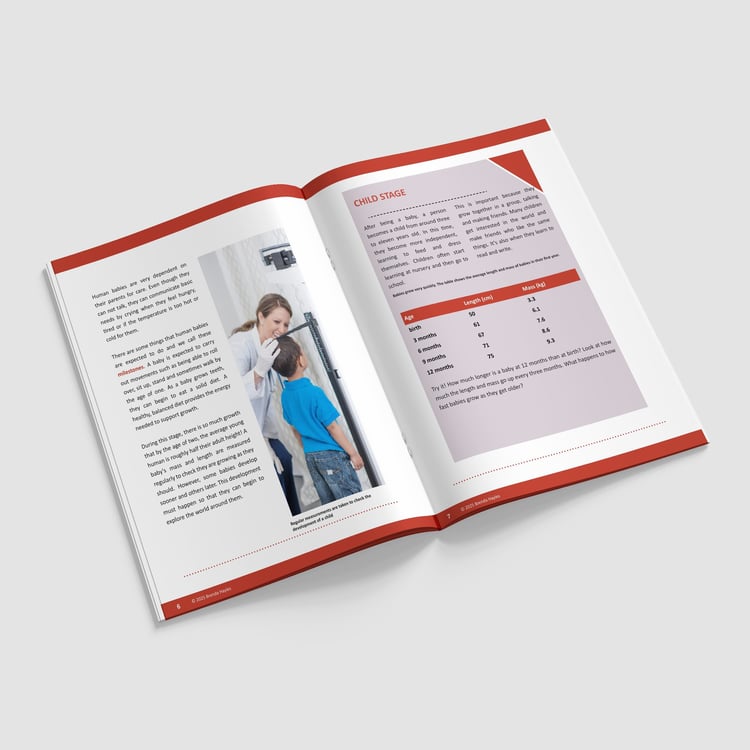 Animals Including Humans Science Booklet | Grades 3-5 | NGSS Aligned | Human Life Cycle: preview page 2 of 4