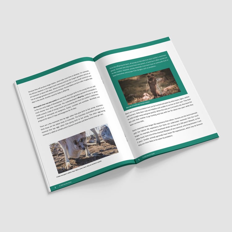 Living Things and Their Habitats Booklet | Grades 3-4 | NGSS Aligned | Life Cycles: preview page 2 of 4