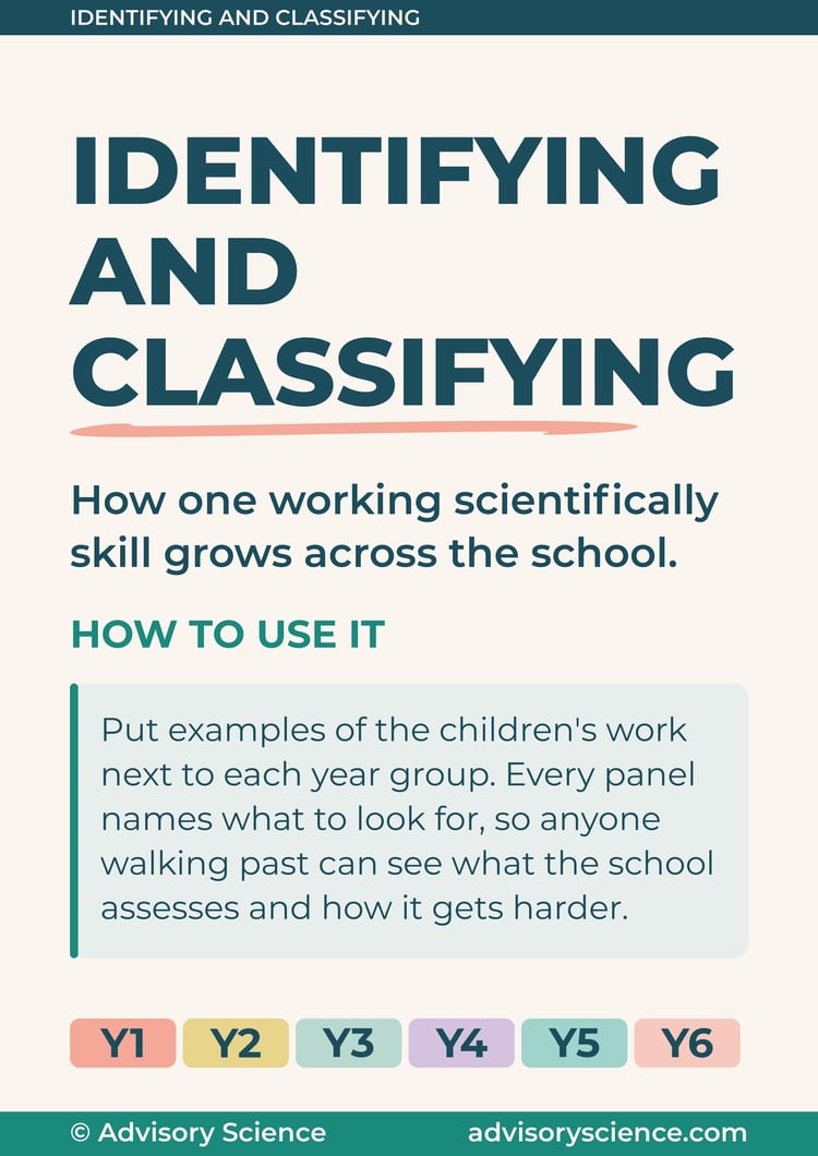Working scientifically progression display header panel: identifying and classifying from Year 1 to Year 6, KS1 and KS2