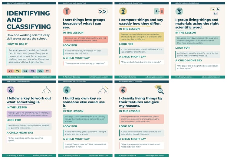 All seven A3 panels of the working scientifically identifying and classifying progression display, KS1 and KS2