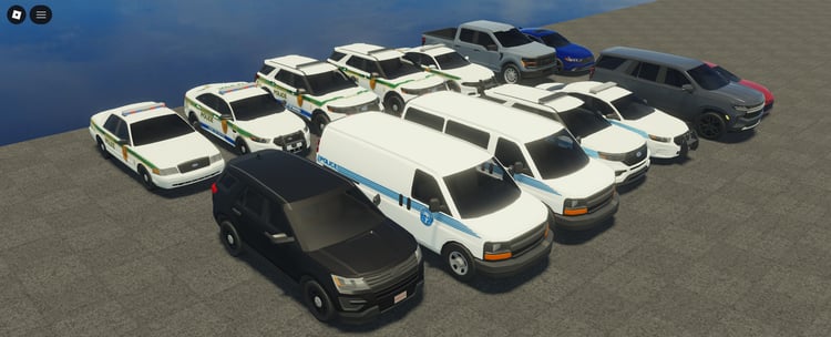 Police sedans with department markings and lights