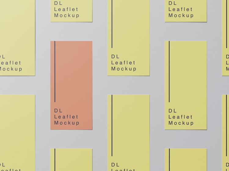 DL leaflet mockup design