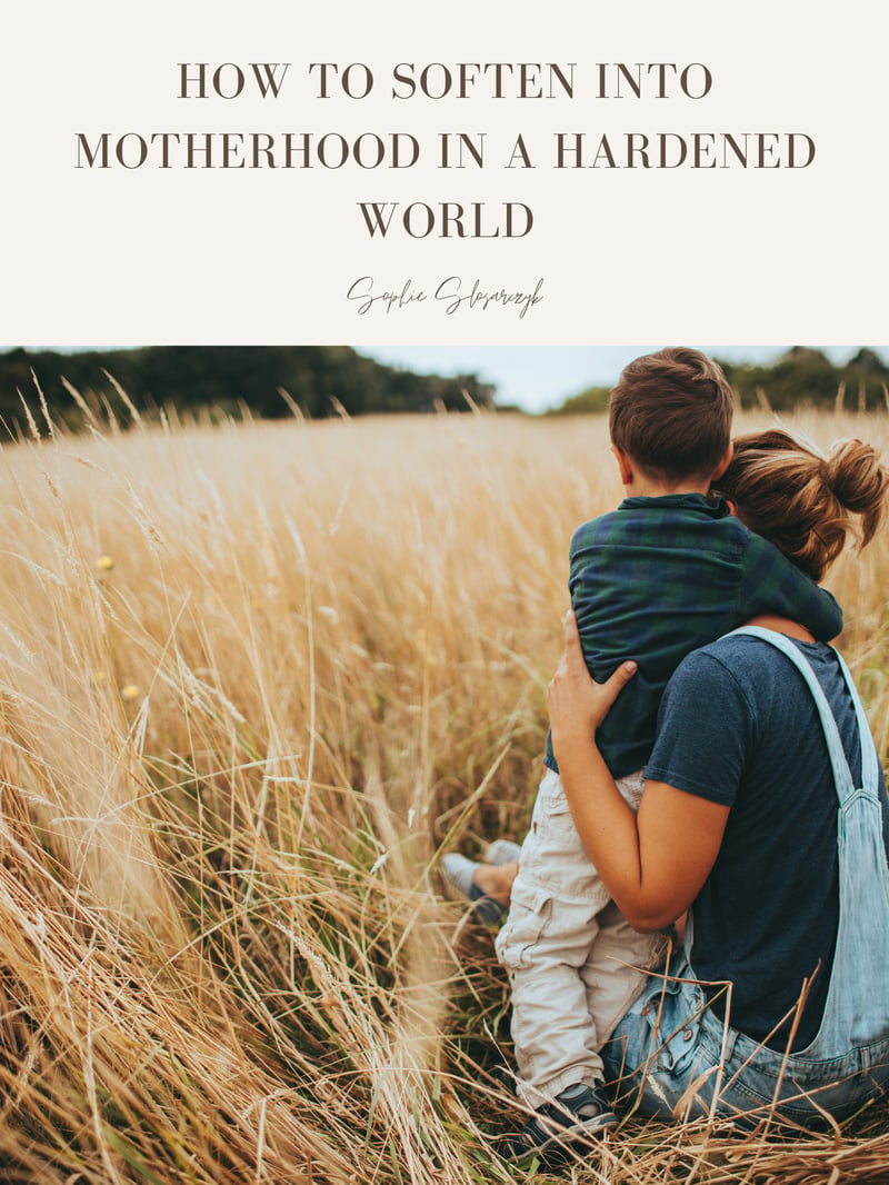 Cover of How to Soften into Motherhood in a Hardened World by Sophie