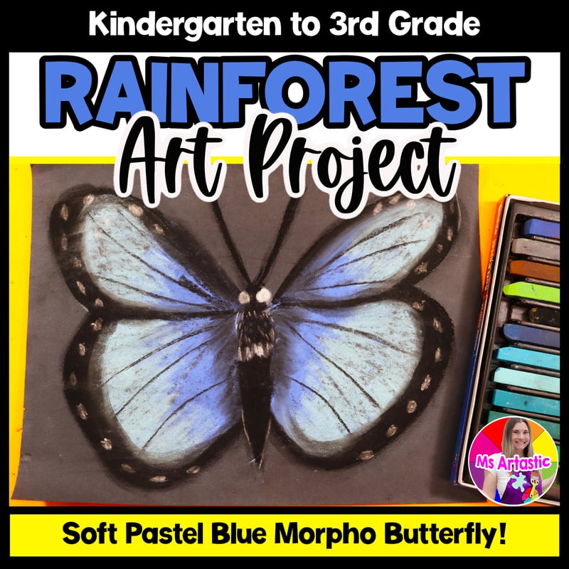 Art Lesson Rainforest Blue Morpho Butterfly Art Lesson Soft Pastel Art Project