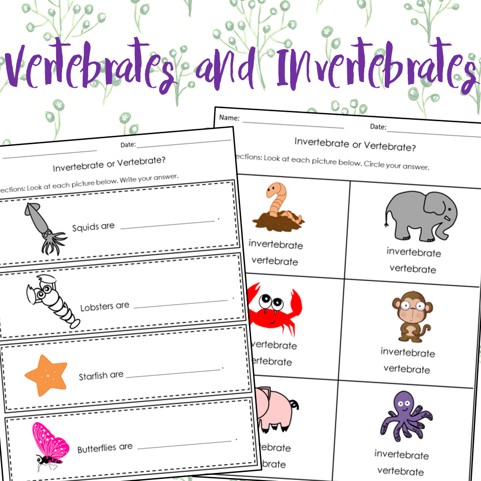 invertebrates pictures printable