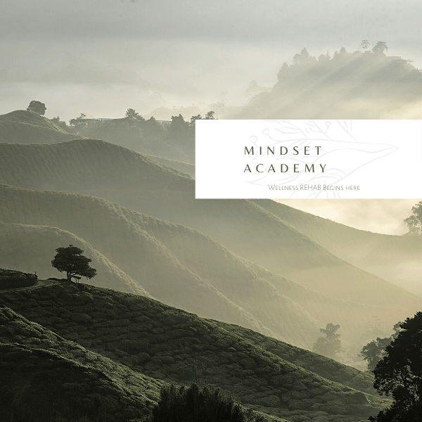 Mindset Academy - Payhip