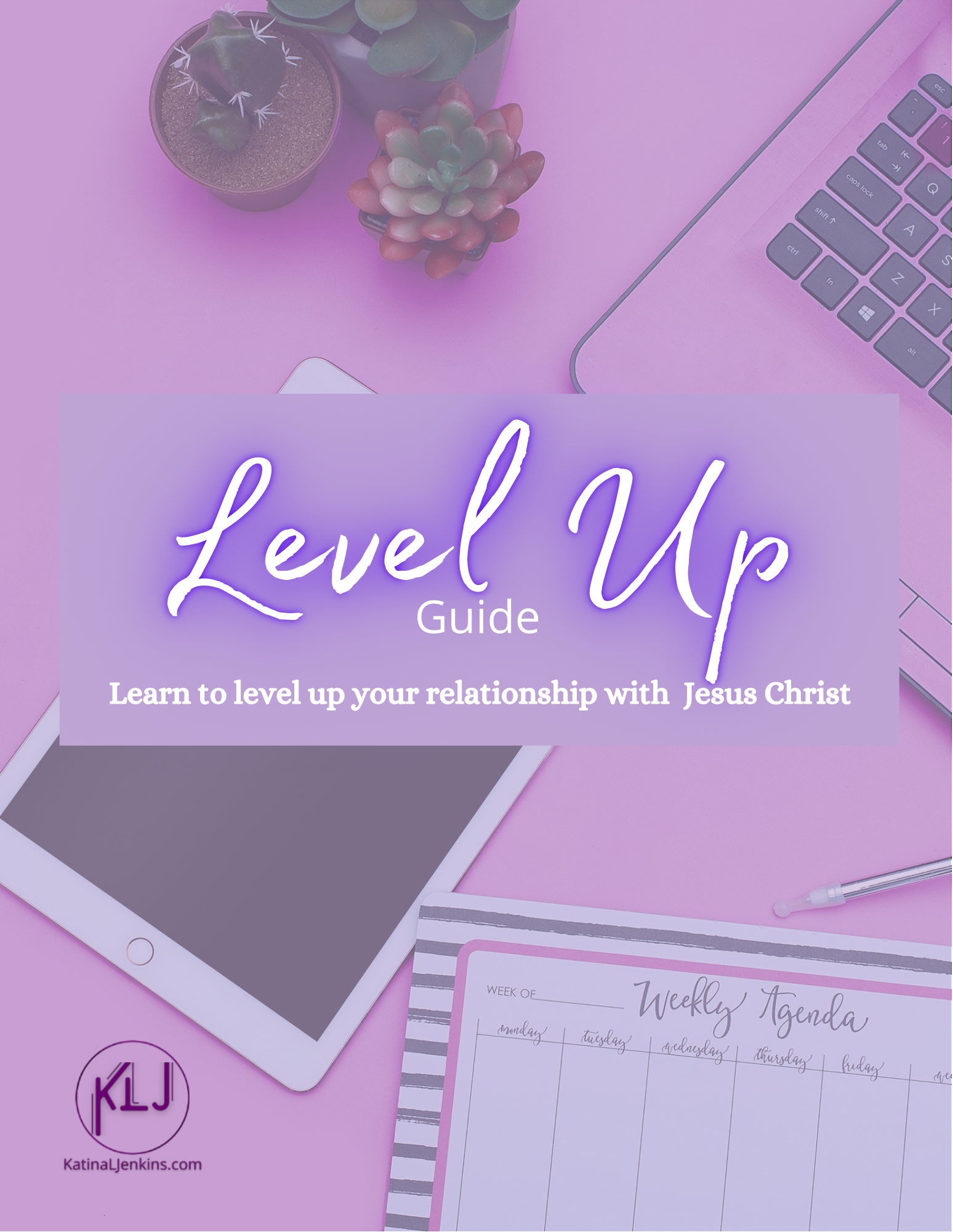 Level Up Guide - Payhip