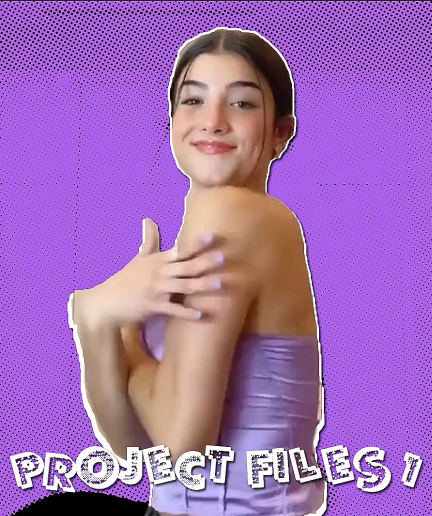 project files bundle - Payhip