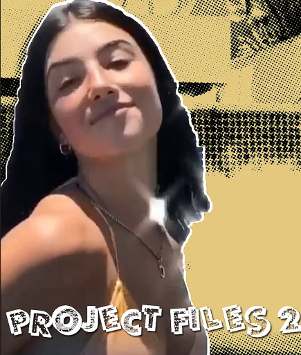 project files bundle - Payhip