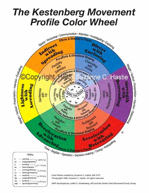 The Kestenberg Movement Profile Color Wheel Poster (11' x 17