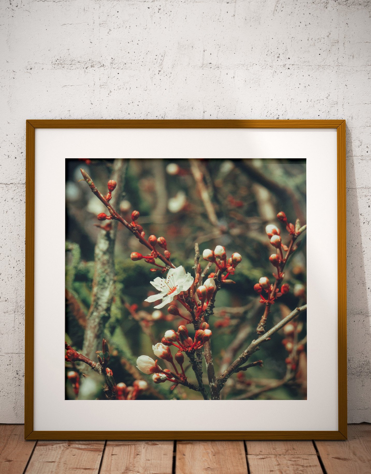 Spring Photo Print Spring Blossoms NZ | Printable Photo Print | Wall Photo Art | Digital ...