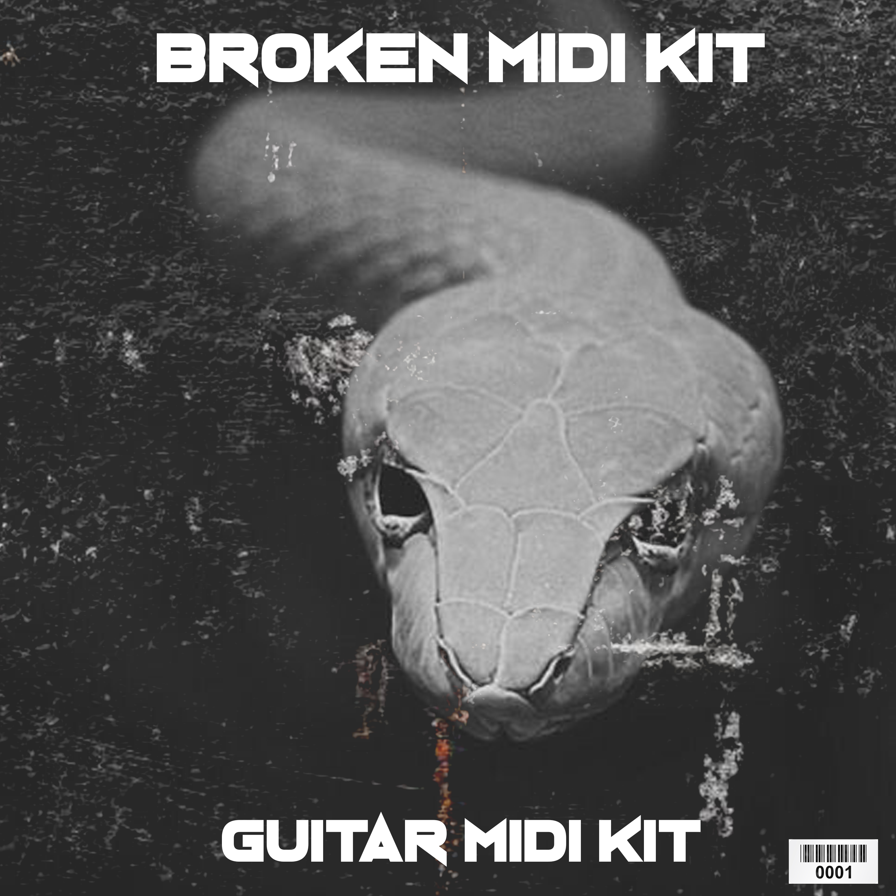 GUITAR MIDI KIT[DEMO] - Payhip