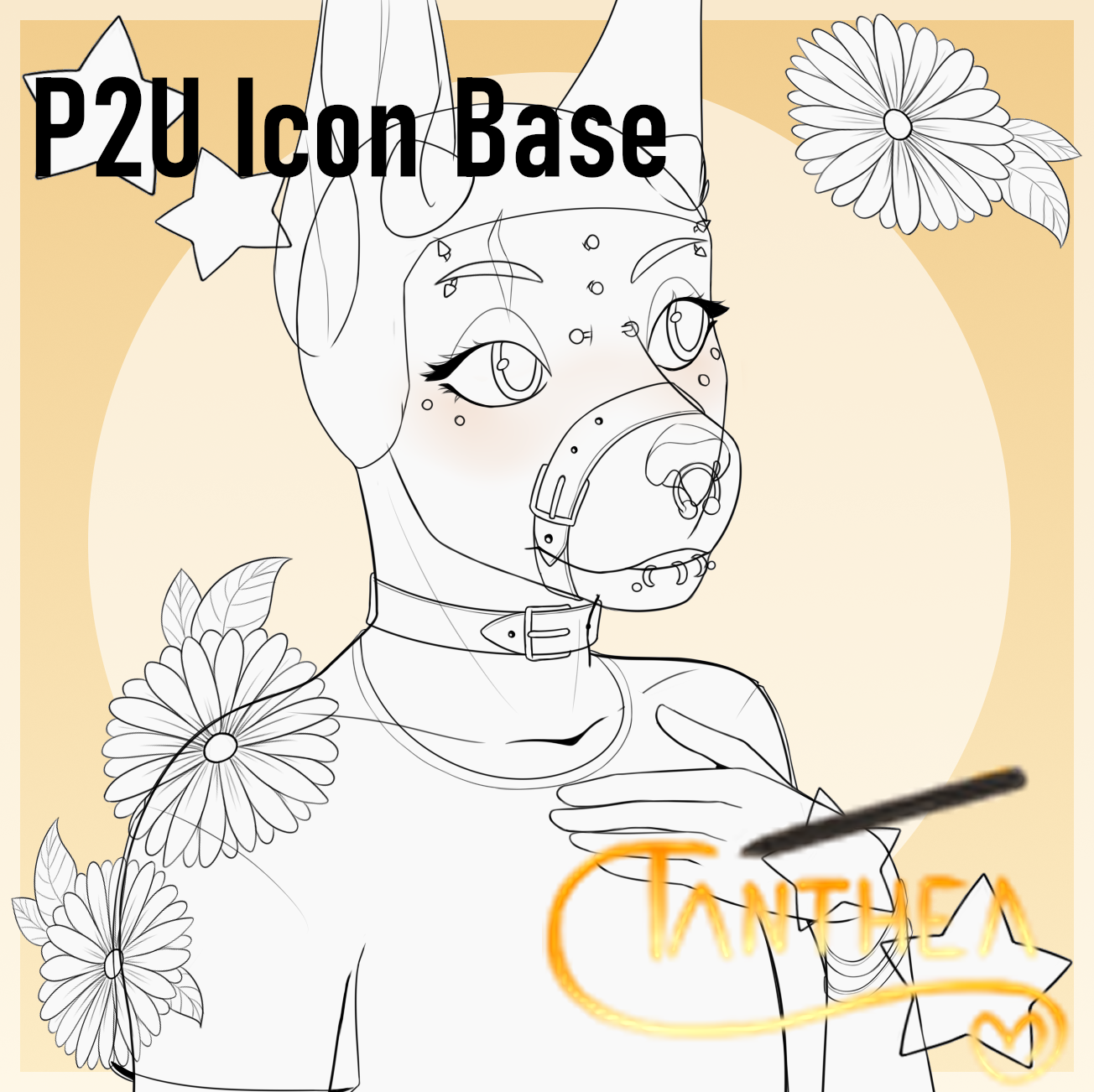 Icon Base - Payhip