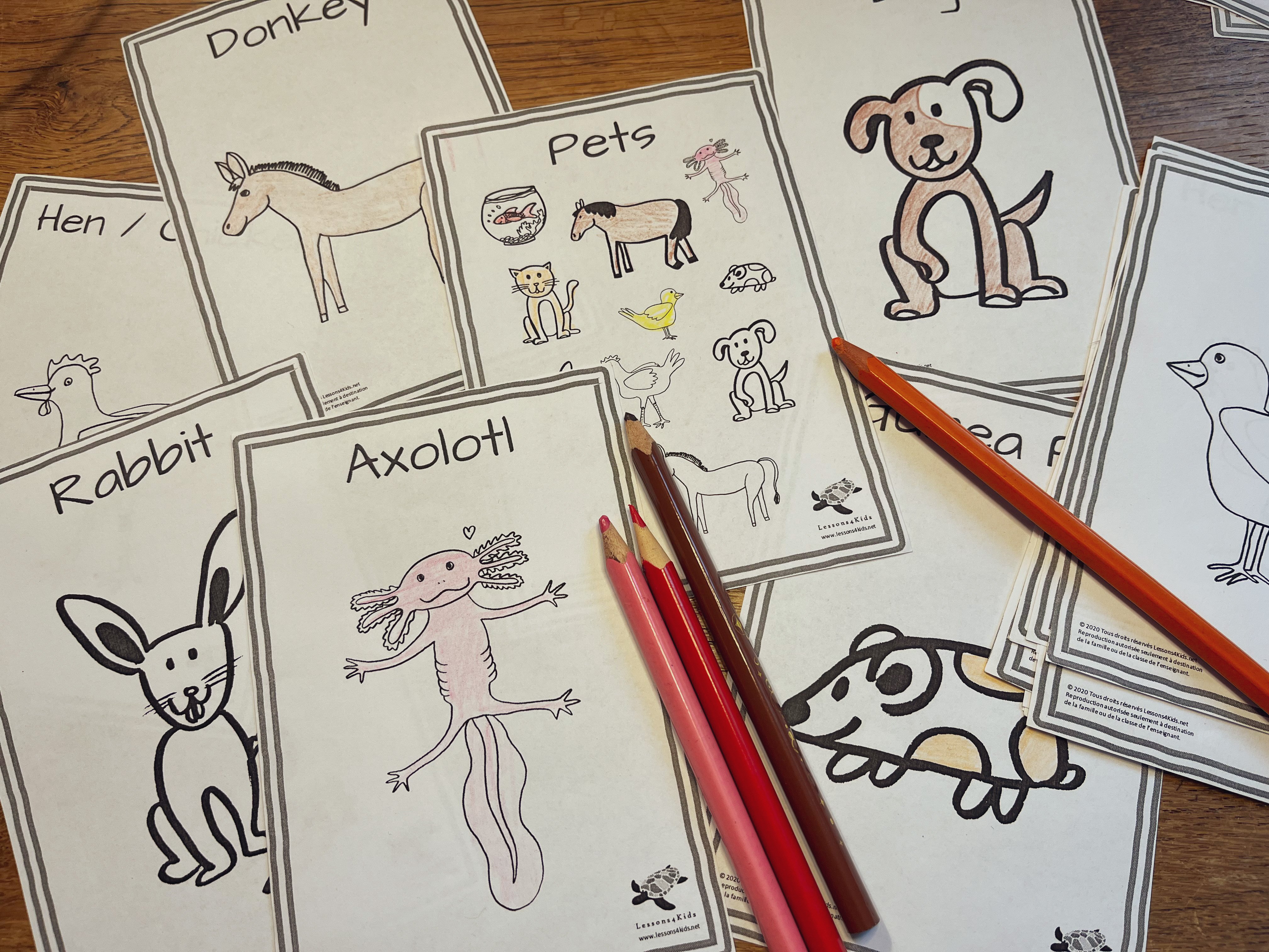 Lessons & Books4Kids - Flashcards