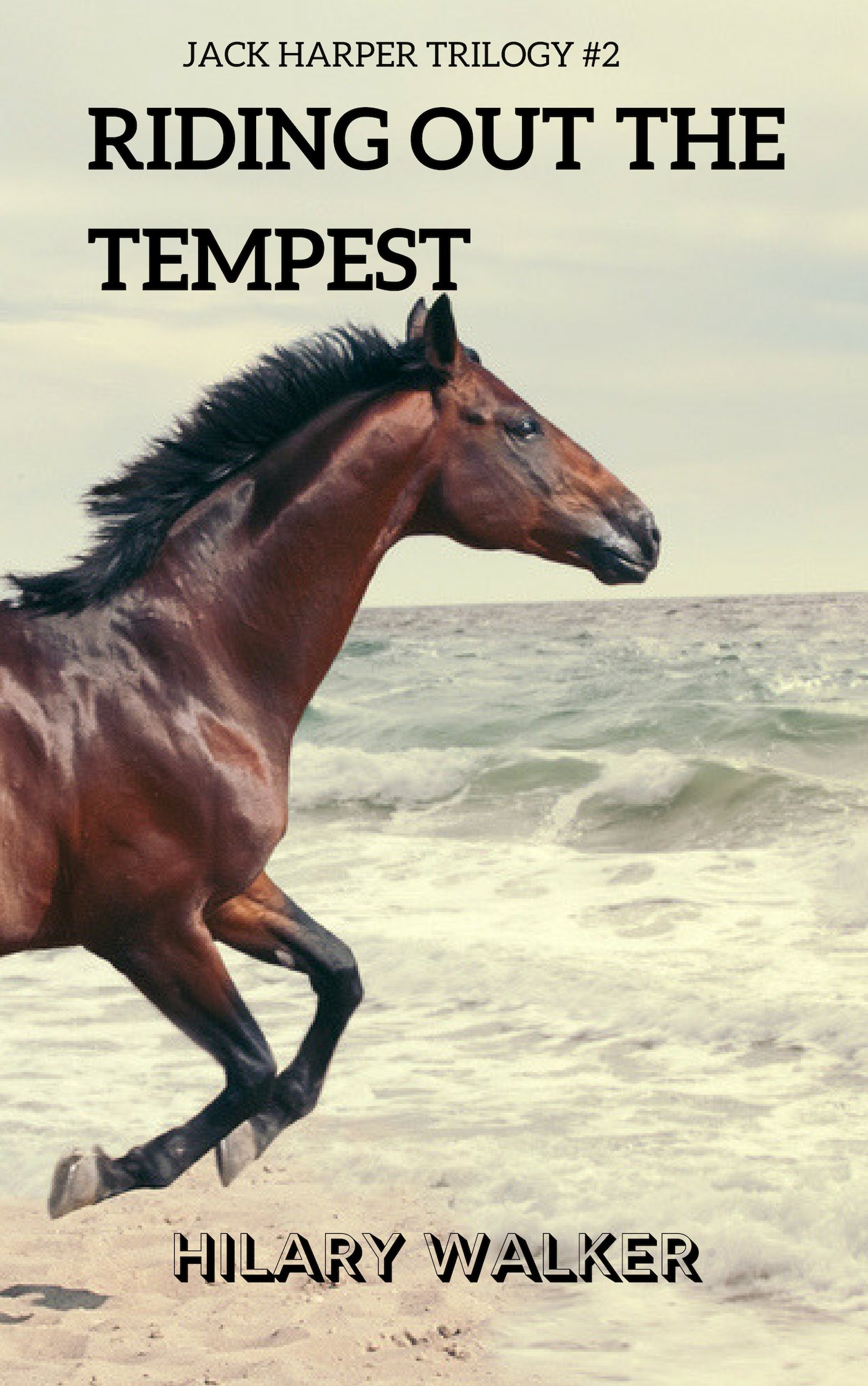 Riding Out the Tempest: The Jack Harper Trilogy #2 - Payhip