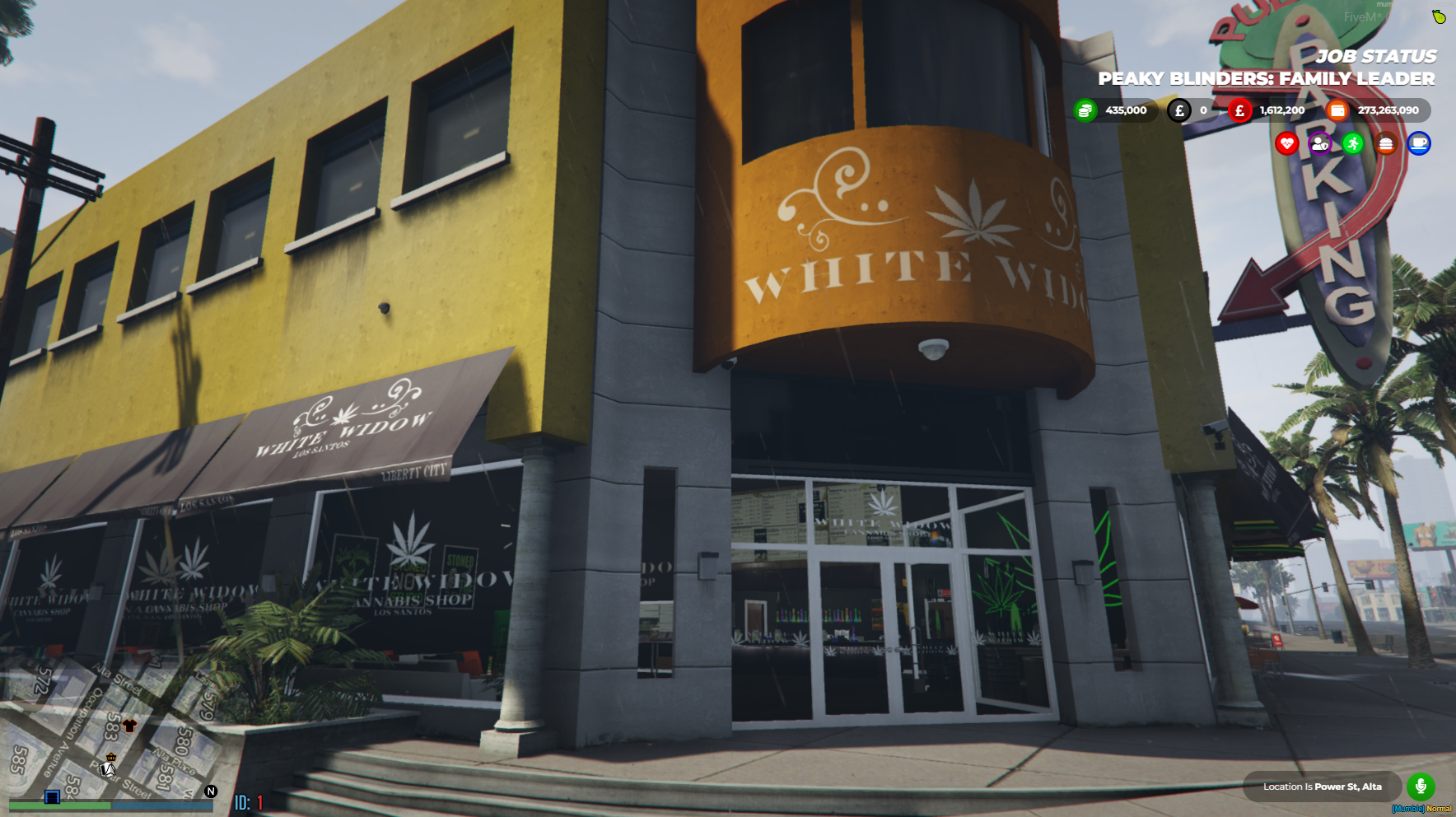 White Widow FiveM Map Marijuana Shop And Underground Growroom