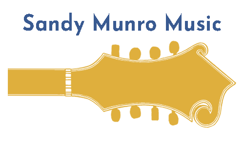 Sandy Munro books