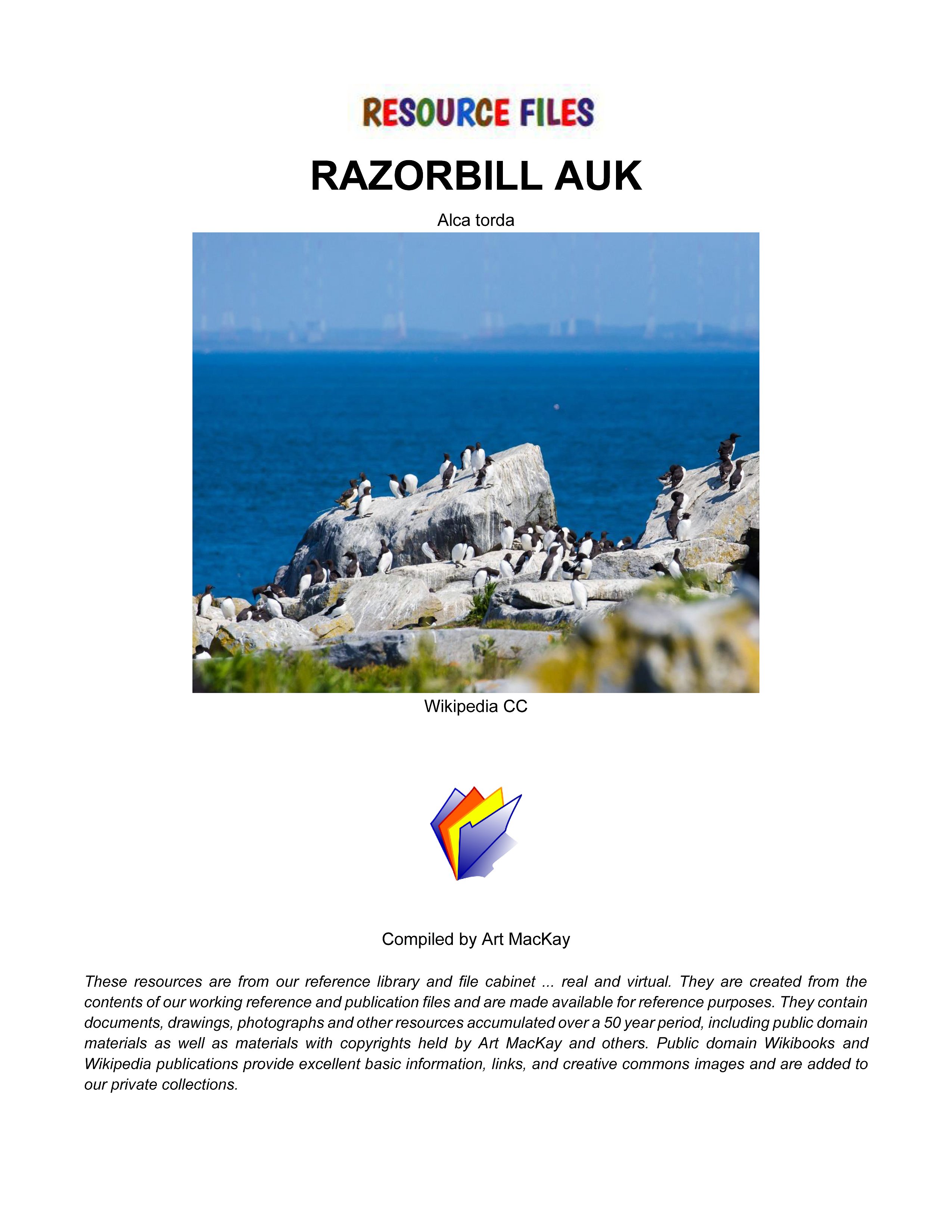 Auckbill Razor RAZORBILLED AUK - RESOURCE FILES - Payhip