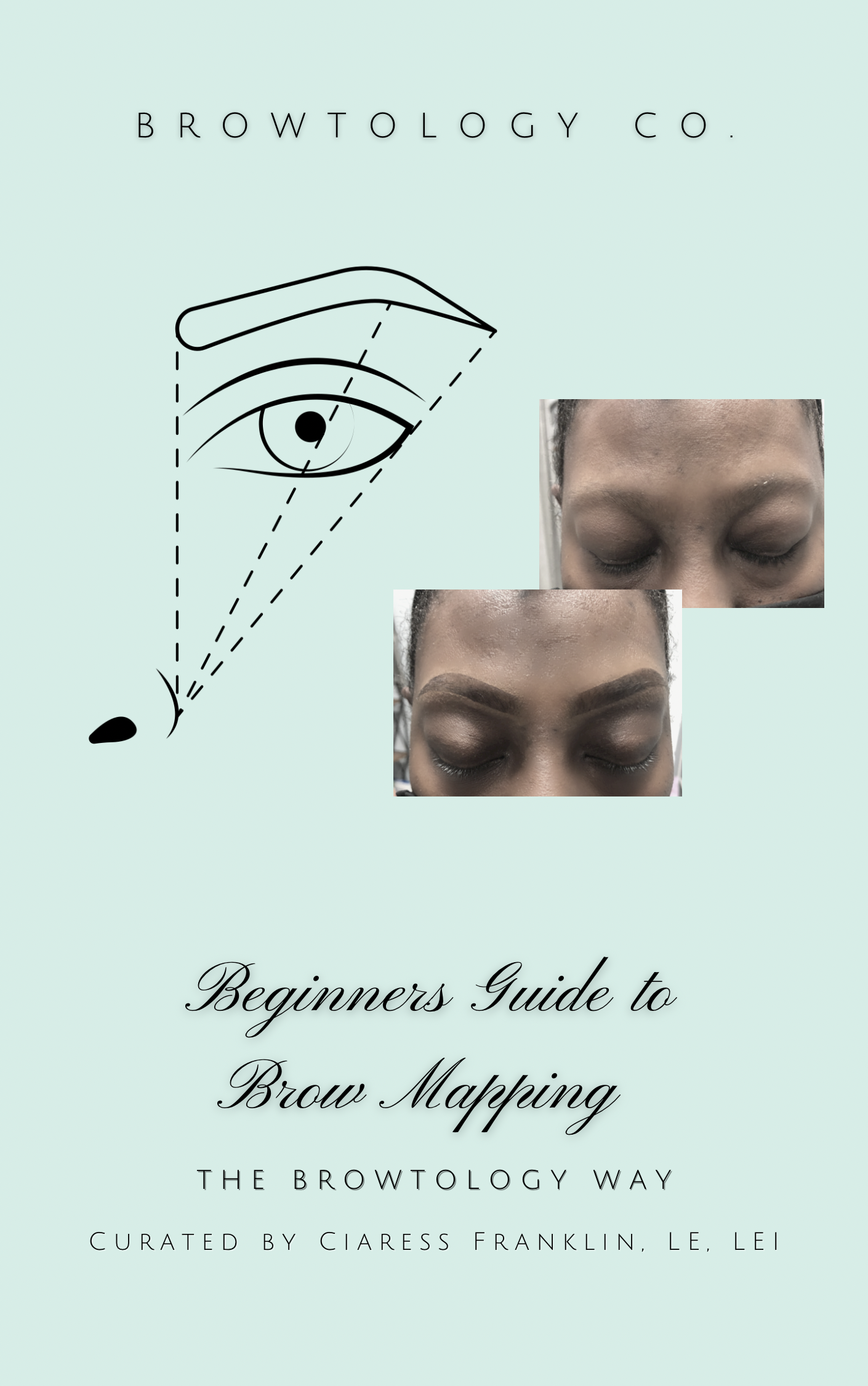 The Beginner's Guide to Brow Mapping Ebook - Payhip