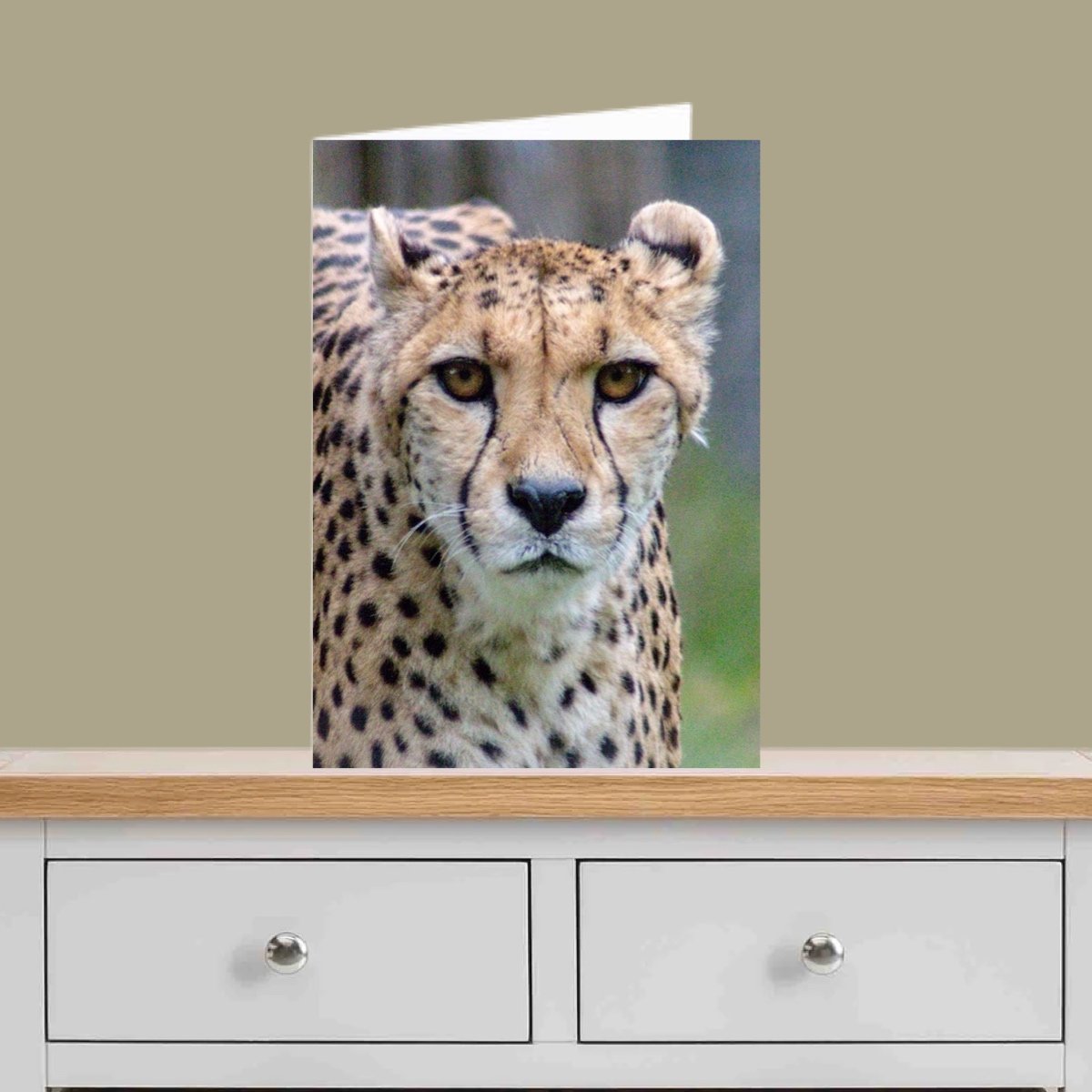Cheetah General Card - Payhip