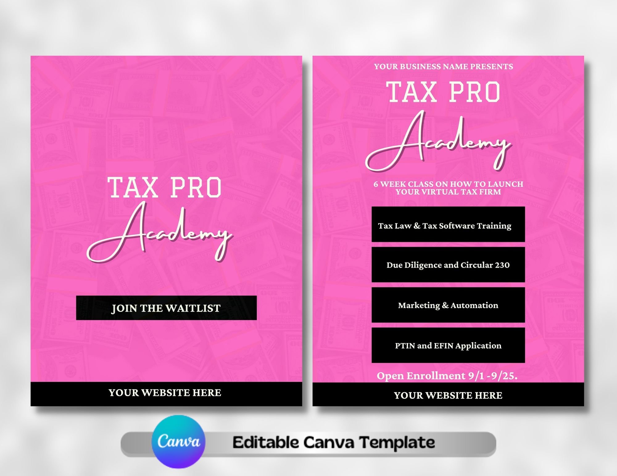 Reviewing Pink Tax Pro Academy Bundle - 4 Templates - Payhip