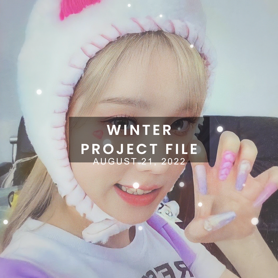Winter Project File - Payhip