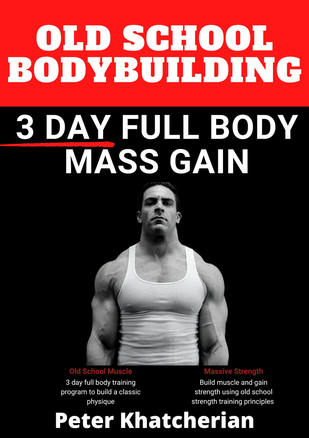 3 day full online body workout for mass