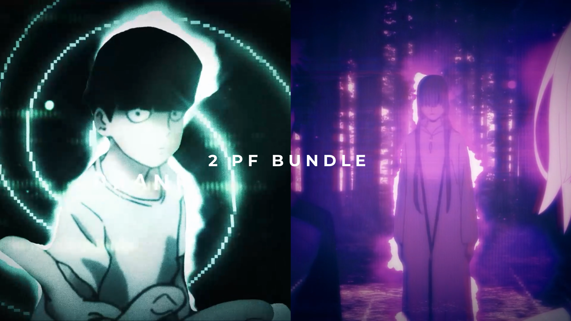 2 PF BUNDLE - Payhip