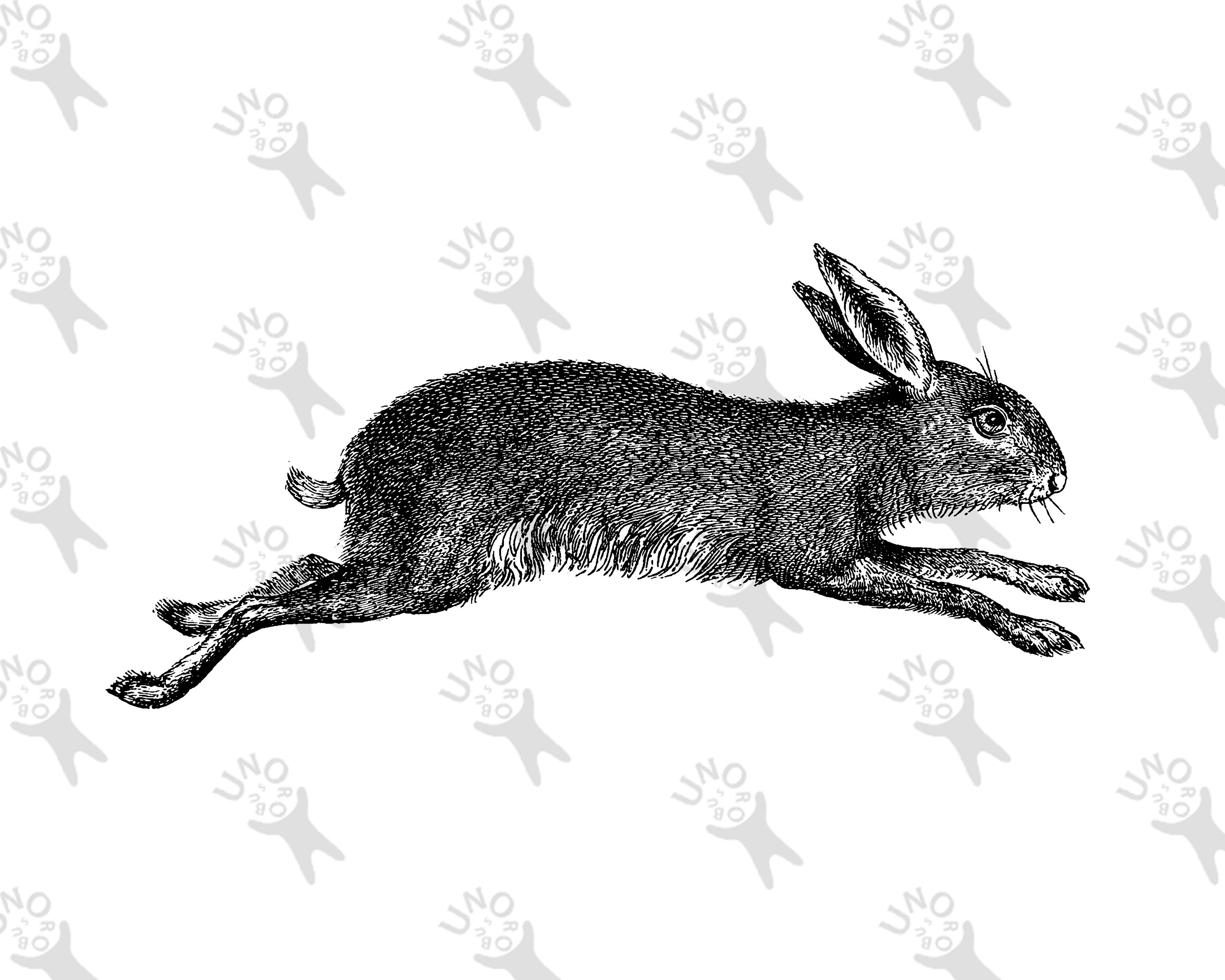 Old clipart running Rabbit, Instant Download Black and White picture ...