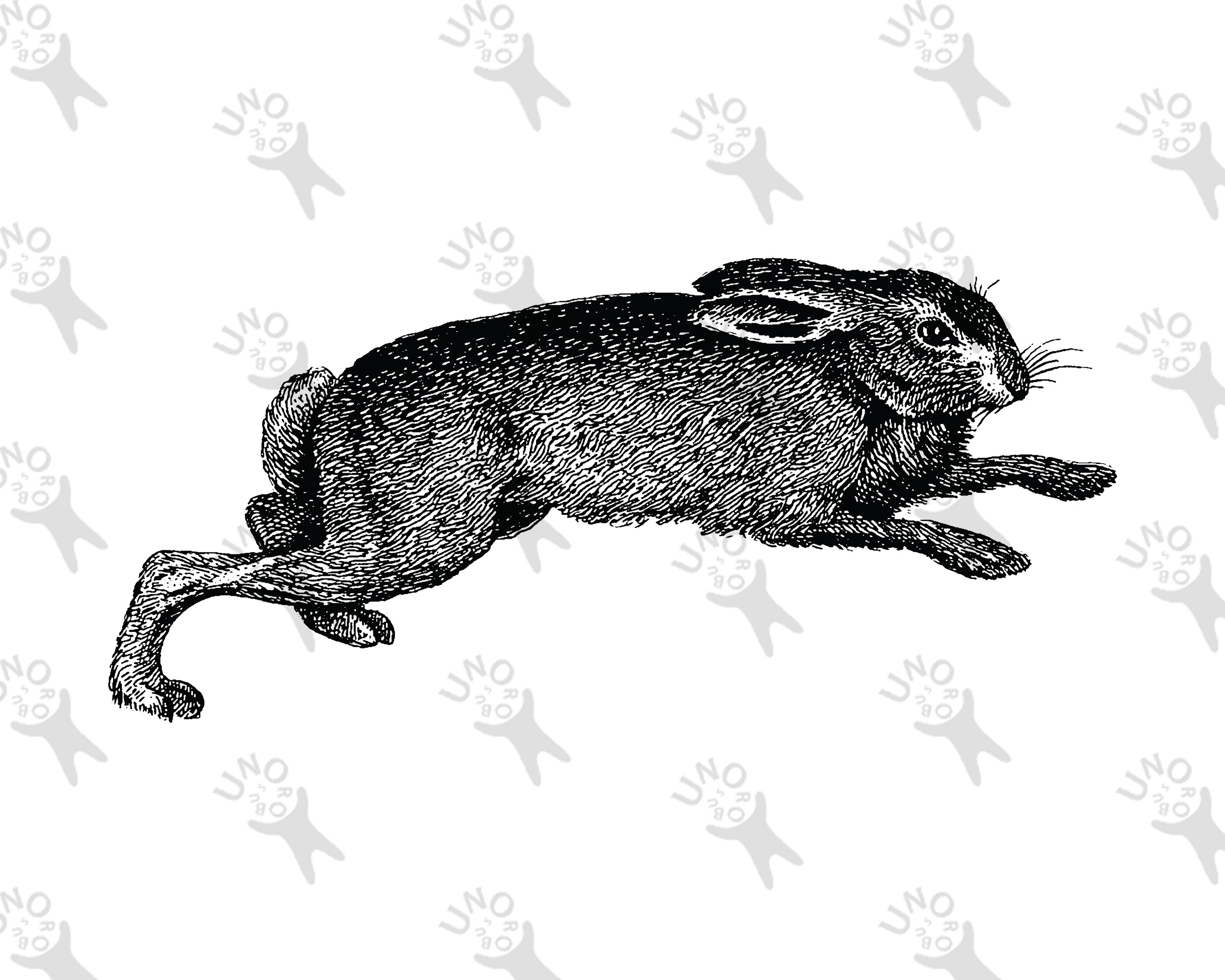 Old clipart running Rabbit, Instant Download Black and White picture ...