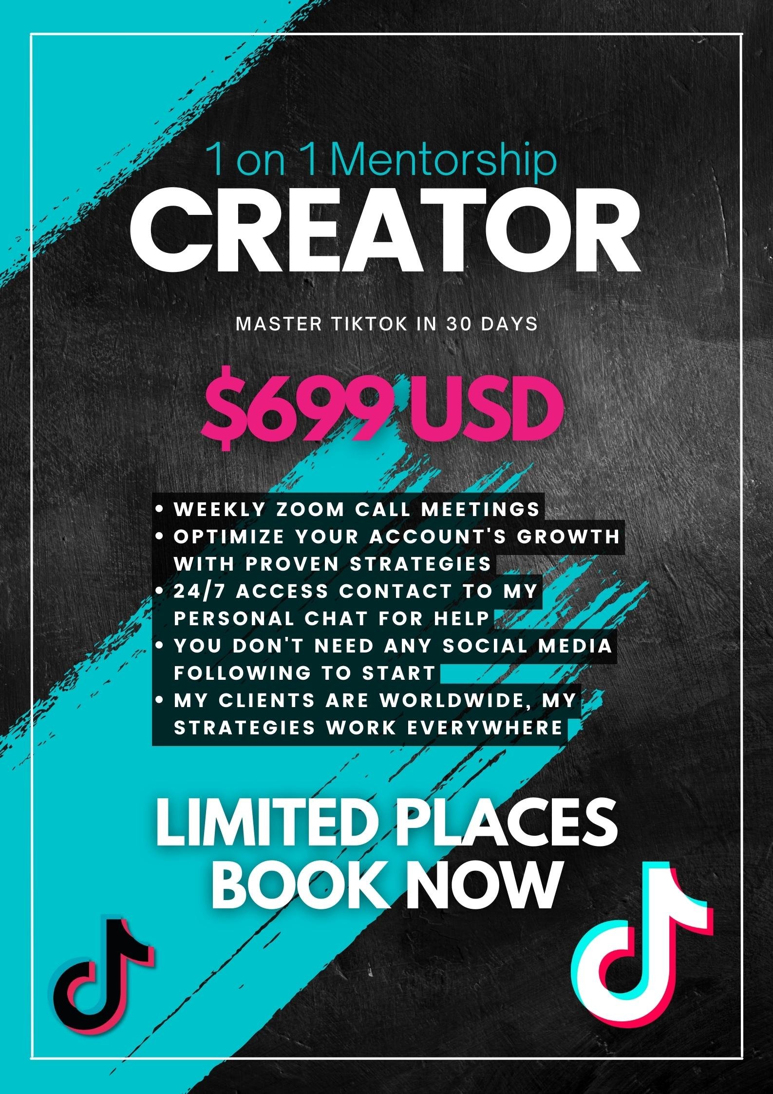 1 on 1 Creator Mentorship - Payhip