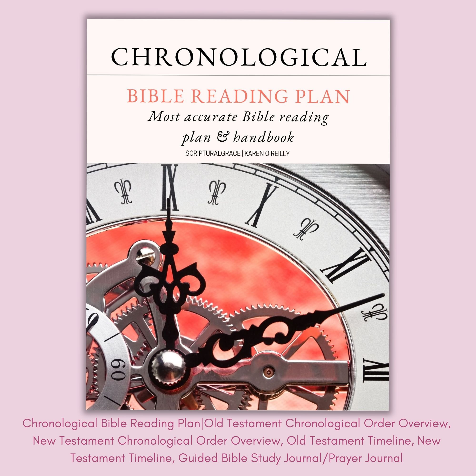 chronological-bible-reading-plan-and-handbook-pdf-payhip