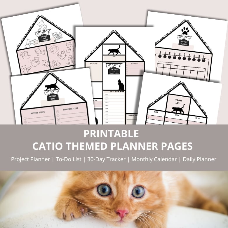 Life Is Better with A Cat Planner