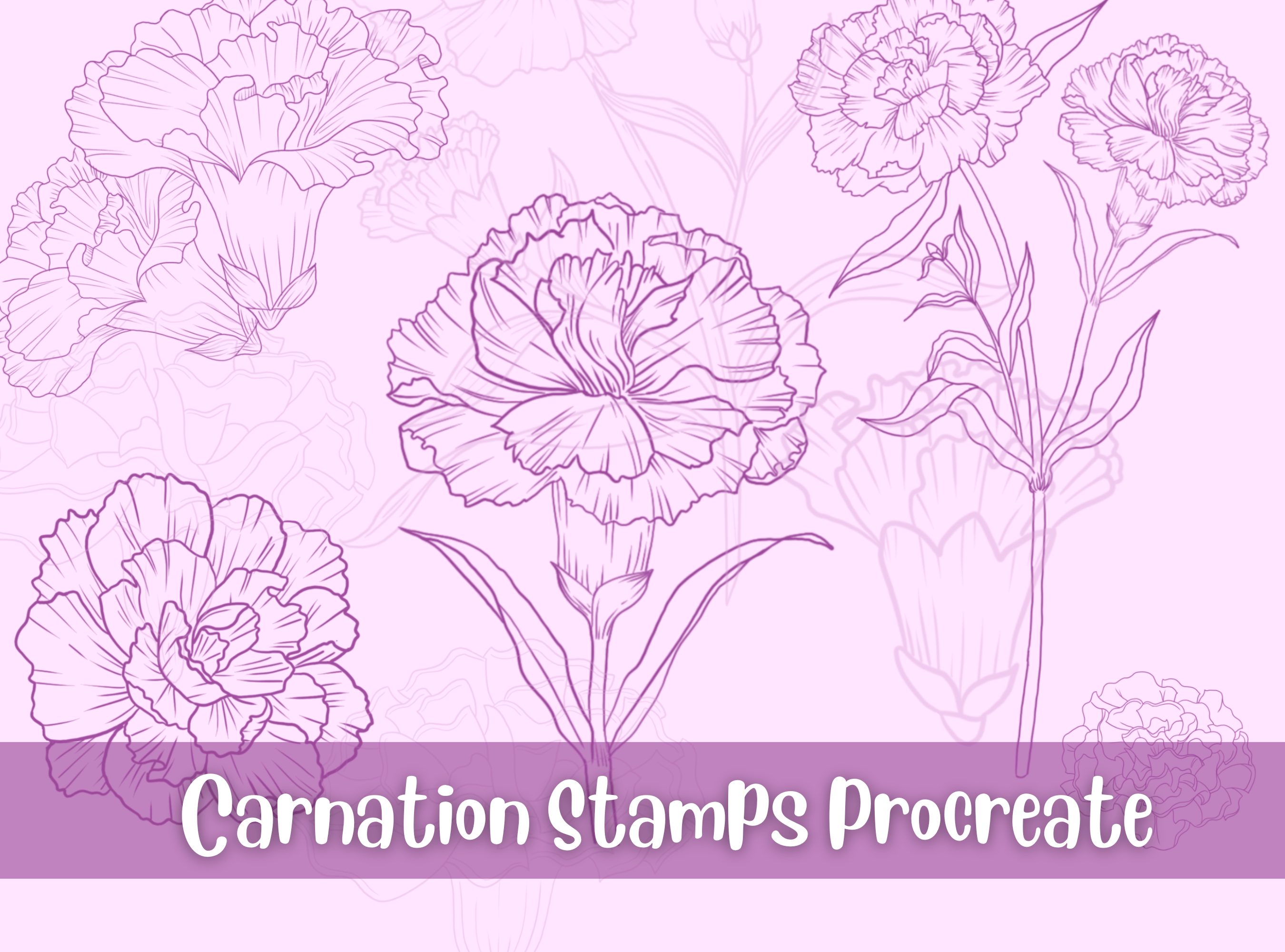 Carnation Stamps for Procreate