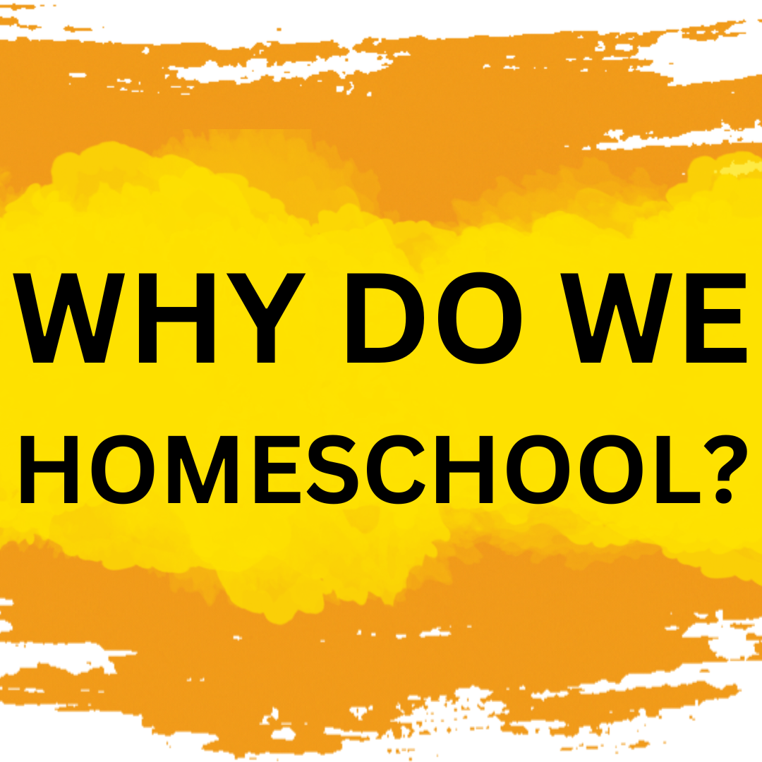 Image for the blog post about why we chose to homeschool.