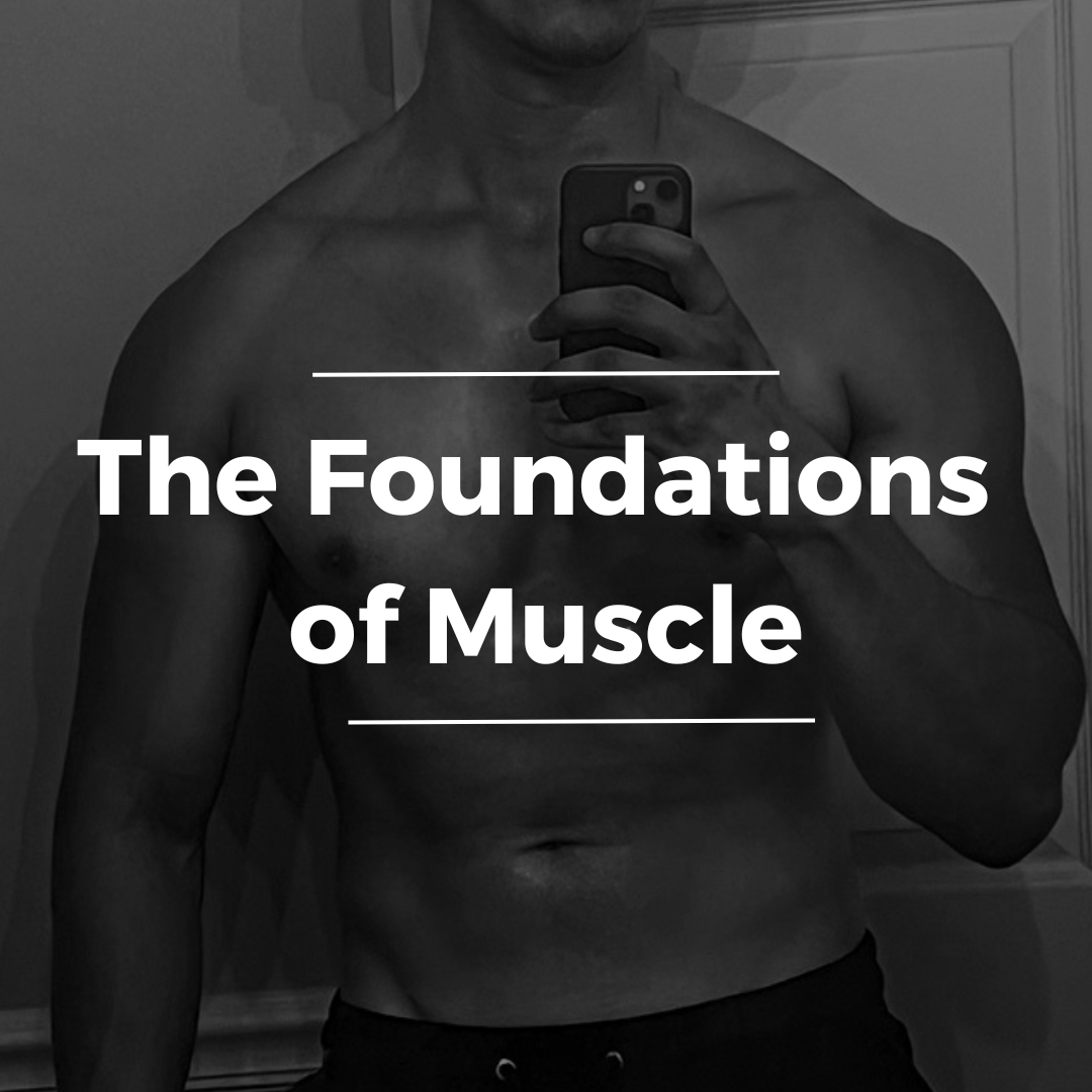 The Foundations of Muscle - Payhip