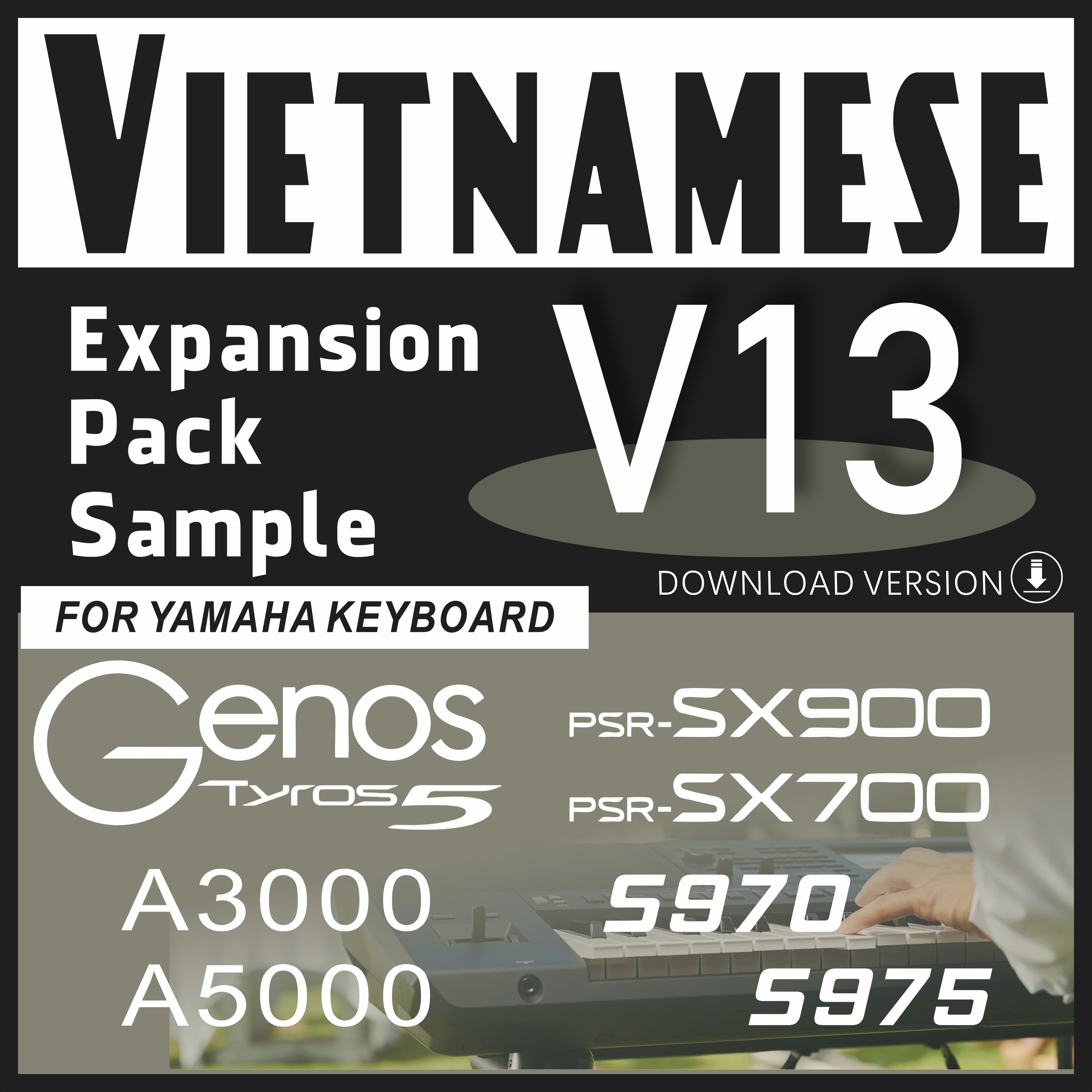 V13 Vietnamese Expansion Pack Sample For Yamaha PSR-SX900 SX700 S970 ...