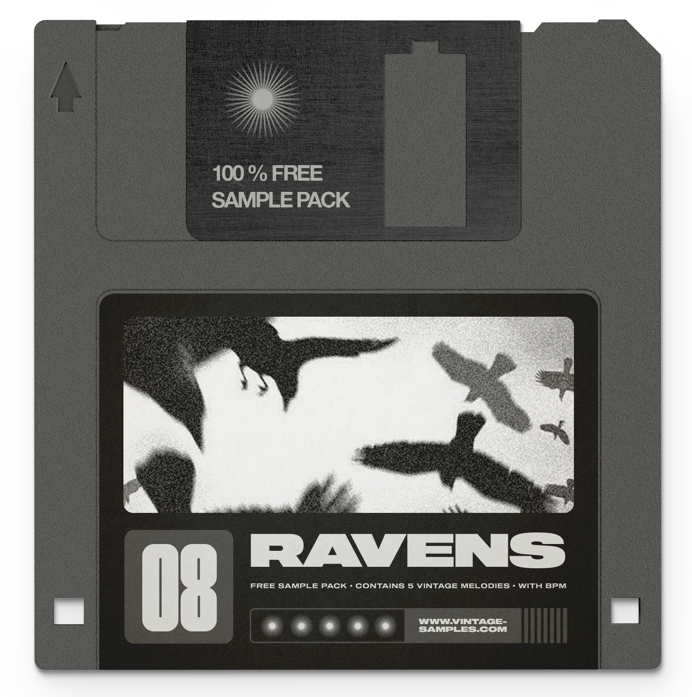 "RAVENS" - VINTAGE SAMPLE PACK